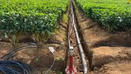 The Water - Chengmari Terroir & Irrigation