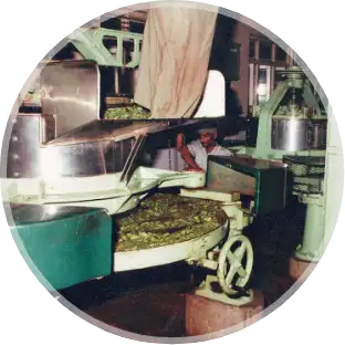 Green Tea Rolling Table