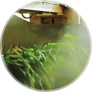 Steaming Chamber Facility