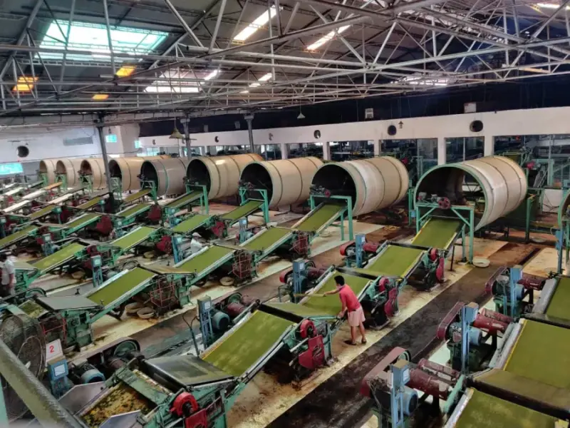 Chengmari tea factory