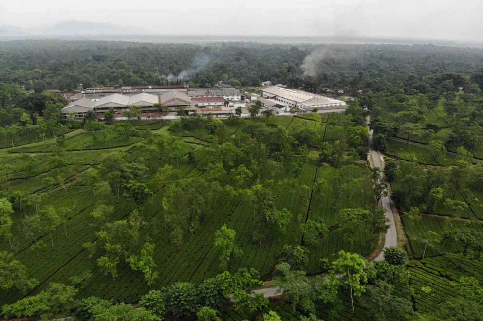 Chengmari Sustainable Solar Powered Estate & Factory
