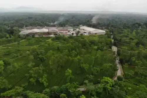 Chengmari Sustainable Solar Powered Estate & Factory