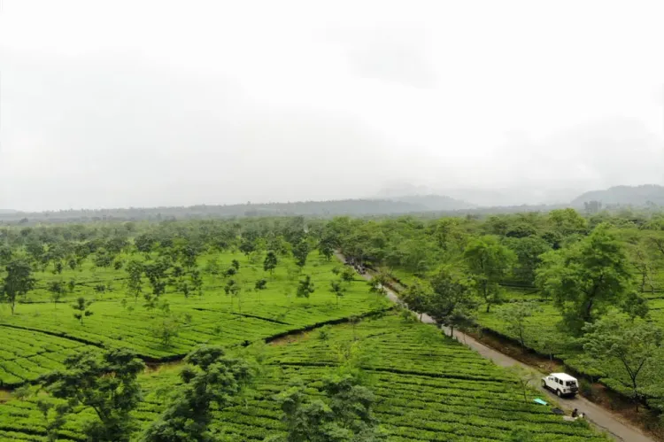 Chengmari Location